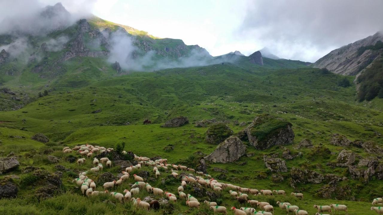 Gite De Montagne Du Plateau De Lhers- Accueil Randonneurs Accous Zewnętrze zdjęcie