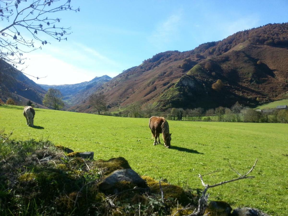 Gite De Montagne Du Plateau De Lhers- Accueil Randonneurs Accous Zewnętrze zdjęcie