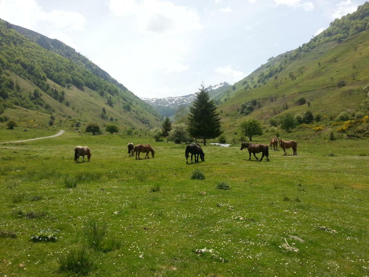 Gite De Montagne Du Plateau De Lhers- Accueil Randonneurs Accous Zewnętrze zdjęcie
