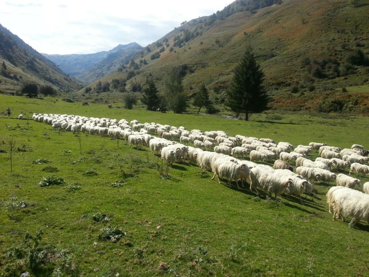 Gite De Montagne Du Plateau De Lhers- Accueil Randonneurs Accous Zewnętrze zdjęcie